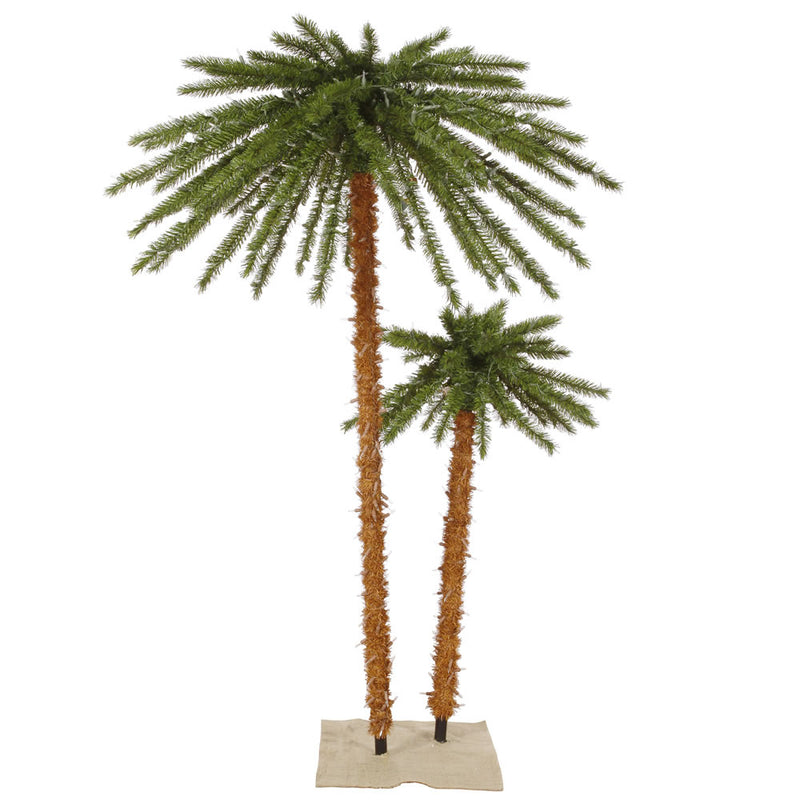 Outdoor Palm Trees 6' and 4'