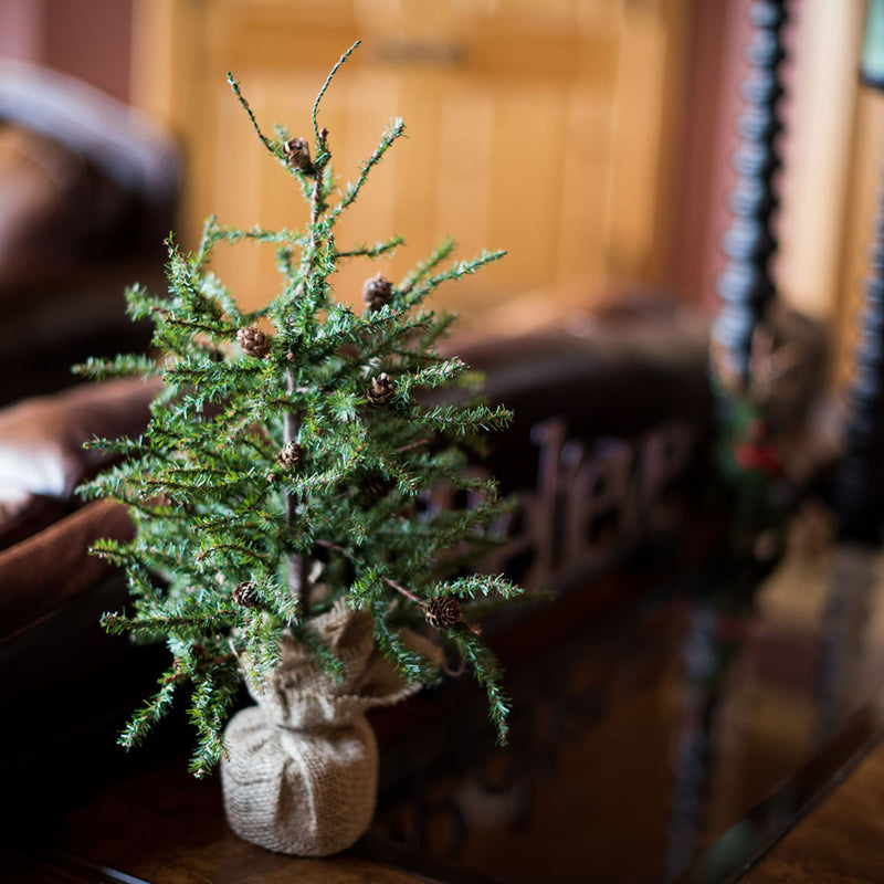 18" Carmel Pine Tabletop Tree with Cones and Burlap Base